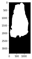 _images/histology-prototype-001-1-manualmask.jpeg