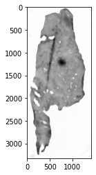 _images/histology-prototype-001-1-med1.jpeg