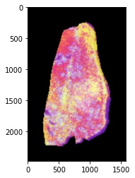 _images/steady-state-UMAP-prototype-001-spatial-resize.jpeg